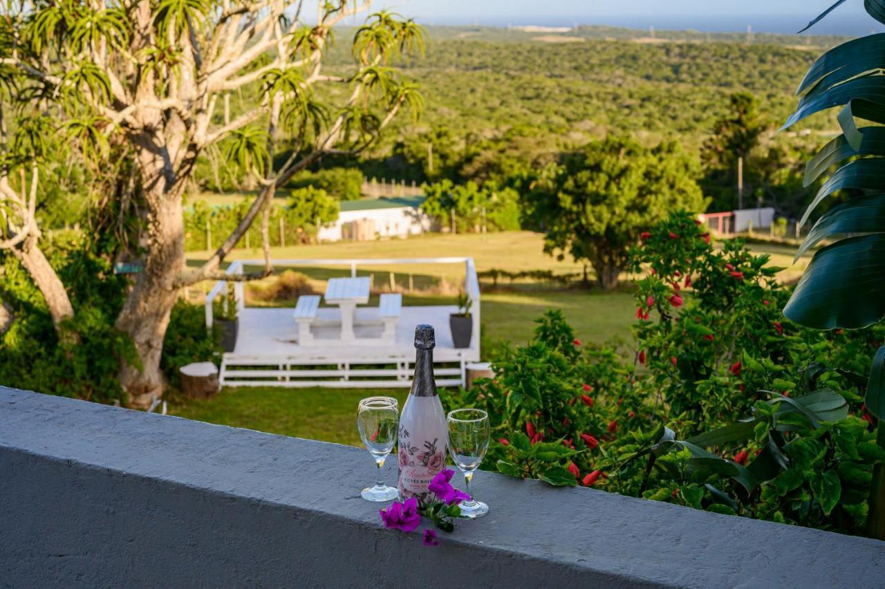 302 On Old Sea View Road Chelsea Apartman Port Elizabeth Kültér fotó